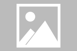 王多多预告解说世俱杯:奥克兰城是新西兰队伍,几乎每位球员都是兼职踢球 王多多预告解说世俱杯:奥克兰城是新西兰队伍,几乎每位球员都是兼职踢球